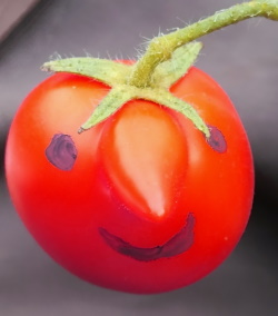 Tomaten-mutant.jpg